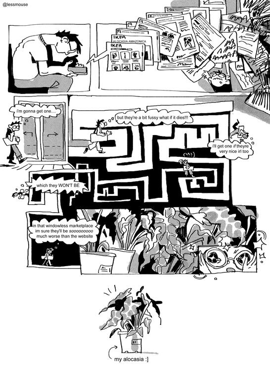 Alocasia adventure // 1 pg